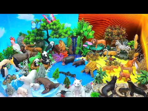 Explore 3 AMAZING: Arctic, Temperate & African Animals 🌳❄️🦁