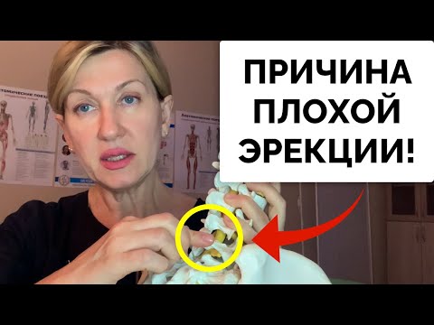 ЭРЕКЦИЯ БУДЕТ КАК В 20 ЛЕТ! Как укрепить мужское здоровье?