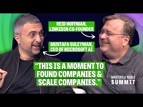 Now is the time to go "all in" on AI (Microsoft AI's Mustafa Suleyman & Reid Hoffman) | Summit 2024