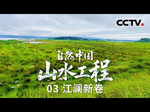《自然中国之山水工程》03 江澜新卷：奔腾长江 生态摇篮 川蜀丘陵间的绿色命脉【CCTV纪录】