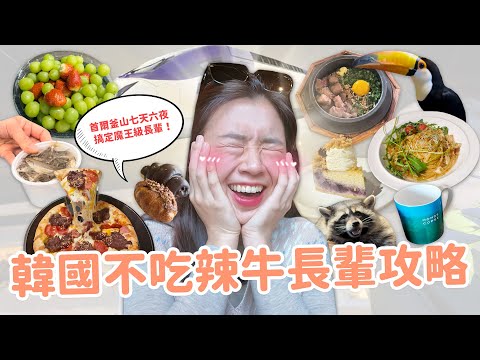 【韓國旅遊🇰🇷】帶長輩怎麼排行程？遇到超帥演員😍 絕美首爾韓屋｜釜山新開幕Blue Bottle｜西面超甜水果｜世界冠軍咖啡☕｜