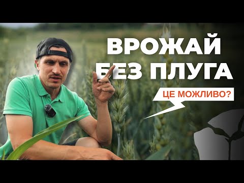 «БЕЗ ПЛУГА ВРОЖАЮ НЕ БУДЕ?» | Фермер Володимир Різун доводить протилежне | No-till 