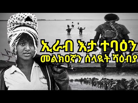 ኢራብ እታ ተባዕን መልክዐኛን ሰላዪት ሻዕብያ