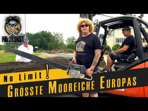 No Limit! / Größte Mooreiche Europas / Holzkunst Scholz offiziell