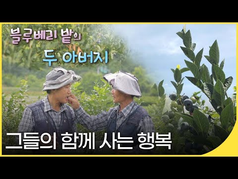 [휴먼다큐] 그들의 함께 사는 행복 - 블루베리 밭의 두 아버지 | 사람과 사람들 | 재미 PICK | KBS 20170809