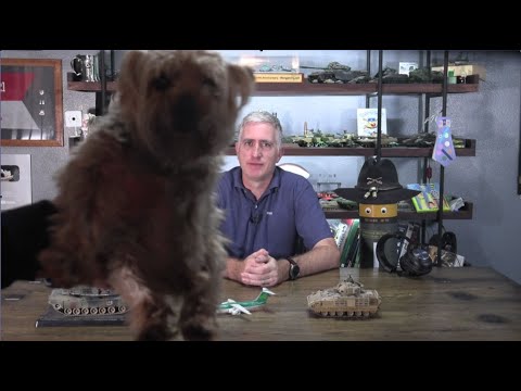 Chieftain's Q&A #23: Caerphillies, Canines, CABs and Combat Cars.