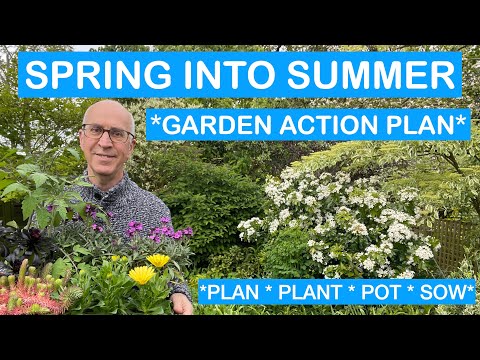 SPRING INTO SUMMER GARDEN ACTION PLAN – PLAN, PLANT, POT, SOW