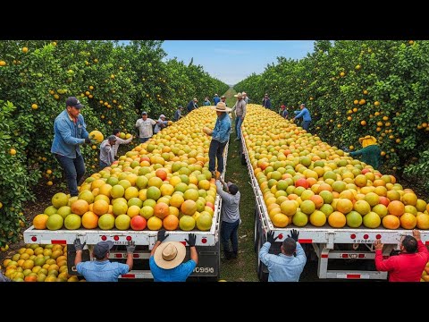 These 49+ Harvest Wins Are Just Insane 💥 The Biggest Fruit & Veggie Hauls Across the USA