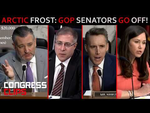 Arctic Frost Hearing: 3 Moments That Got Heated!
