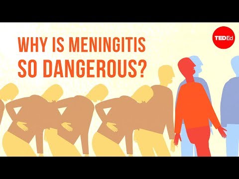 Why is meningitis so dangerous? - Melvin Sanicas