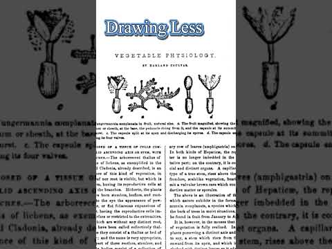 Highlights from February 1853 Godey’s Lady’s Book