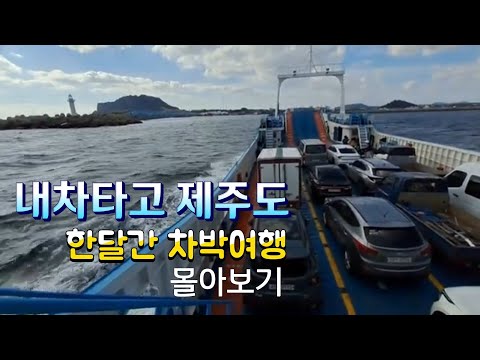 내차타고 제주도 한달살기 차박여행 몰아보기