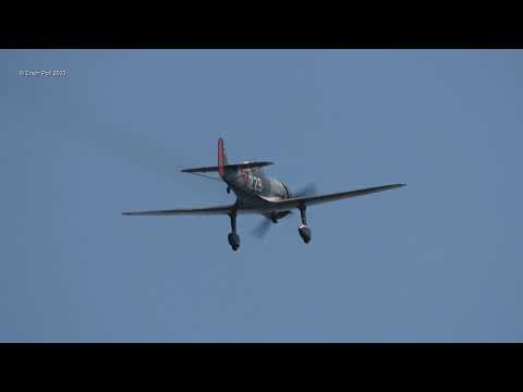 Fokker D.21 Rebuild Fokker D.XXI 229 PH-XXI Incredible Sound!! First Display Flight EHHO 8 Juli 2023