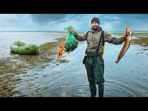GET FOOD ON THE ISLAND - HUGE OYSTERS AND FISH WITH YOUR BARE HANDS