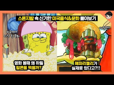 뚱이가 먹는 해파리젤리가 실제로 있다고? 스폰지밥 속 신기한 미국 음식&문화 몰아보기 [빠퀴]