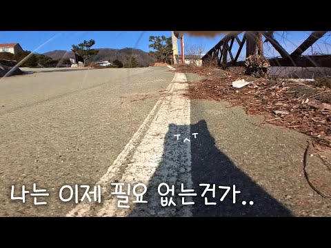 고양이가 집을 나가버렸다..