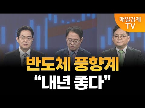 [최임화의 뒤집기] AI 반도체 슈퍼사이클 도래? / 김장열 유니스토리 자산운용 투자전략 본부장, 김종효 알파경제 이사