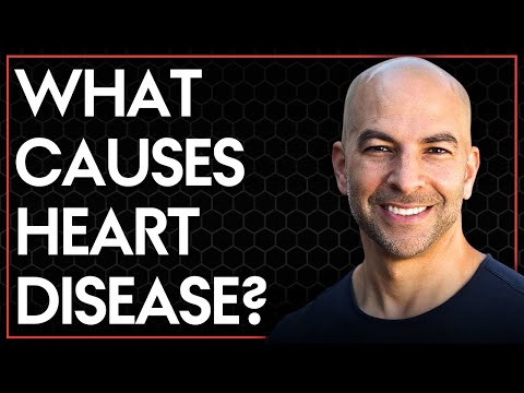 What Causes Heart Disease? | The Peter Attia Drive Podcast (Ep 203, AMA 34)