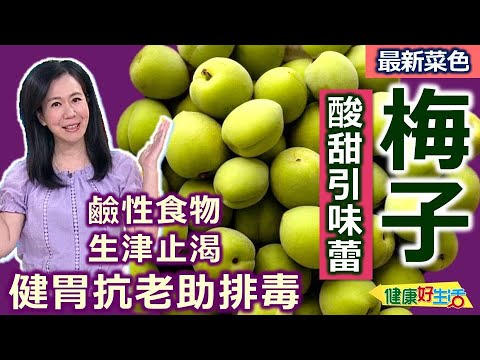 健康好生活  20250512  「梅子」酸甜引味蕾！健胃抗老助排毒