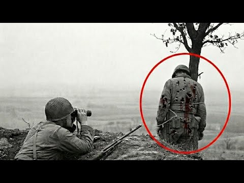 名二十歲士兵用「活誘餌戰術」殺死五十二名德軍，拯救了自己的戰友