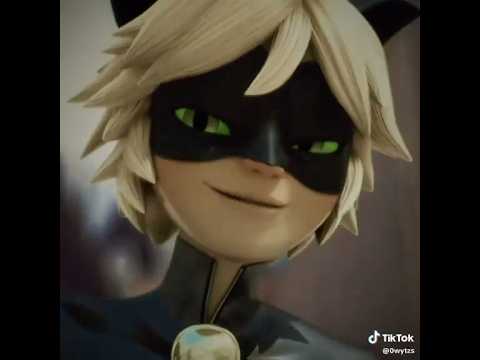 Cat noir edit 💞#miraculousladybug #catnoir #miraculousladybugandchatnoir