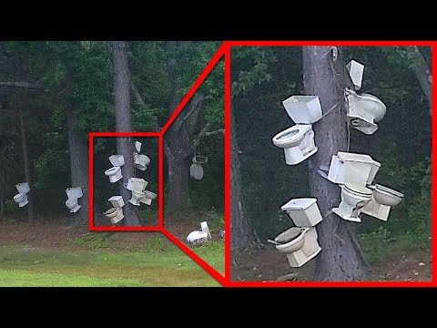 Странные Находки В Неожиданных Местах. Часть 2