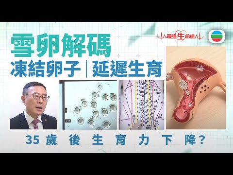 最強生命線|雪卵解碼|35歲後生育力下降?凍結卵子|延遲生育|醫療|無綫新聞|TVB News|TVB