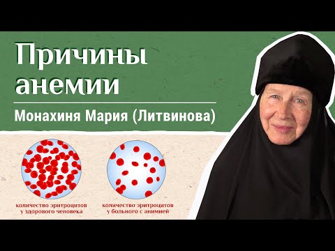 Why does hemoglobin decrease? M. Maria (Litvinova). "Let's Live Healthy!"