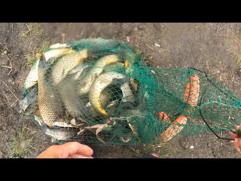 Я СБЕЖАЛА от такого КЛЕВА! Вот ПОПАЛА так попала! Рыбалка на сазана