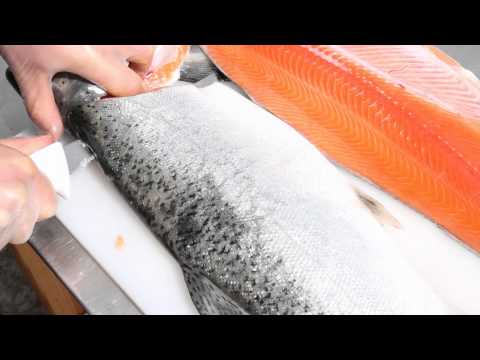 How to fillet a Salmon