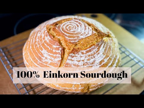 100% All-Purpose Einkorn Sourdough Boule - Step By Step