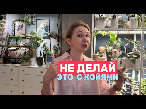 10 ОШИБОК при выращивании хой, которые я проверила на себе