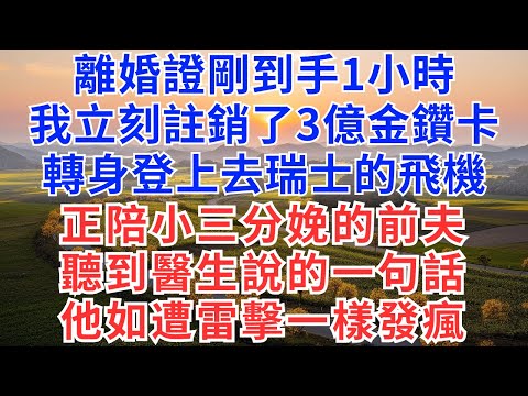 離婚證剛到手1小時，我立刻註銷了3億金鑽卡，轉身登上去瑞士的飛機，正陪小三分娩的前夫，聽到醫生說的一句話，他如遭雷擊一樣發瘋#生活經驗#情感故事#故事#小說#戀愛#情感#婚姻#為人處世#家族#净身出戶