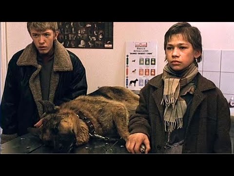 БЕЗУМНО ТРОГАТЕЛЬНЫЙ ФИЛЬМ ПРО БЕСПРИЗОРНИКА И ОВЧАРКУ ДЛЯ СЕМЕЙНОГО ПРОСМОТРА! СПАРТАК И КАЛАШНИКОВ
