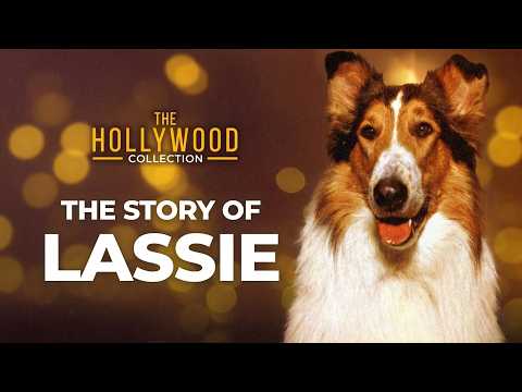 The Story Of Lassie | The Hollywood Collection