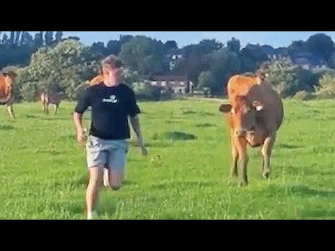 Best Funny Videos Of 2025 😂 TRY NOT TO LAUGH Funny Videos #24 😂