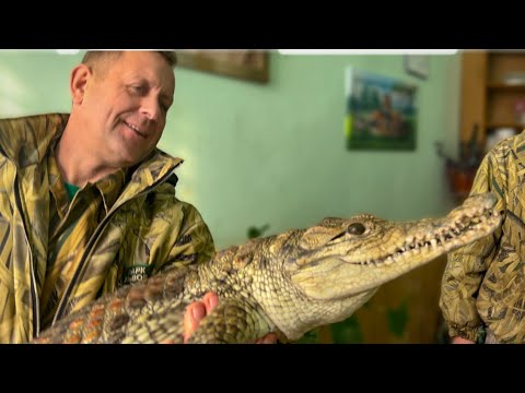 Я делаю КРОКОДИЛУ МАССАЖ! Все животные из Каховки очень. симпатичные)))