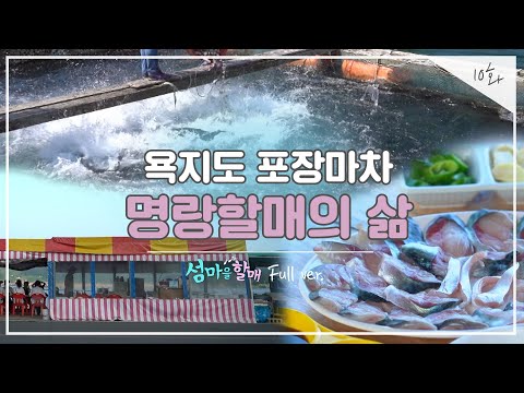 [섬마을 할매 시즌2 Full ver.] 10화  욕지도 포장마차 명랑할매의 삶