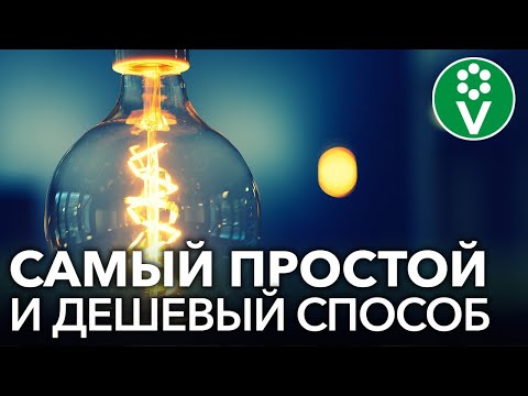 КАКИЕ ЛАМПЫ ВЫБРАТЬ ДЛЯ ПОДСВЕТКИ РАССАДЫ? Попробуйте ЭТОТ дешевый и надежный вариант