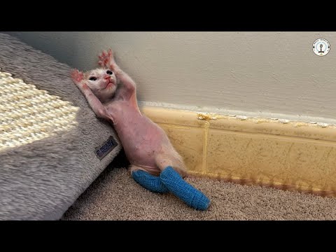 Shunned since birth, he silently shed tears the moment he got his first cuddle