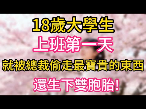 18歲大學生,上班第一天，就被總裁偷走最寶貴的東西，還生下雙胞胎