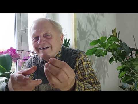 Почему  органика сверху на почву и стимуляция фотосинтеза по листьям увеличивает плодородие