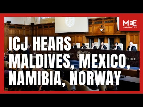 Watch in Full: ICJ hears Maldives, Mexico, Namibia and Norway on Israel’s obligations