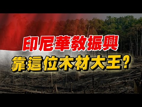 靠木材起家的印尼華人首富！如何受到印尼總統的 “特別待遇” ？黃雙安傳奇故事！