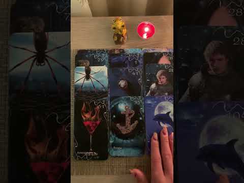 Кто нападает⚡️цели🎭бумеранги🪃🐍💛