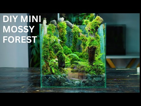i made a mossy forest with a flowing stream | here's how!