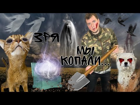 НОВАЯ КОШАЧЬЯ ИСТОРИЯ УЖАСОВ | ЗРЯ МЫ ВЫКОПАЛИ ЗАКОЛДОВАННУЮ ШКАТУЛКУ 1 серия 2021