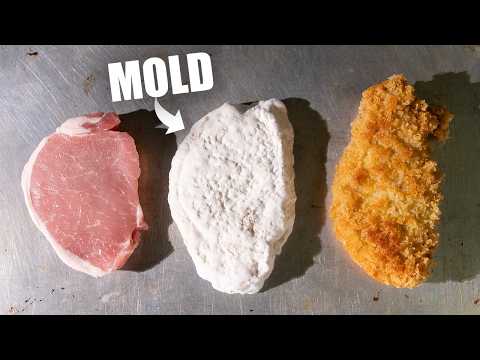 Recreating Japan’s Best Tonkatsu… with Moldy Pork