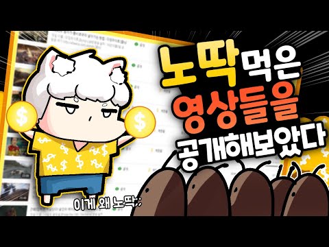 노딱을 먹은 데에는 이유가 있다..?😌