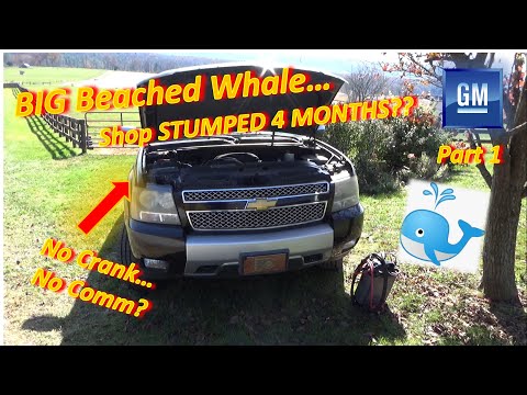 (Pt 1) Beached Whale Chevy STUMPS Shop for 4 MONTHS!? ('08 Suburban: No-Crank, No-Comm?)